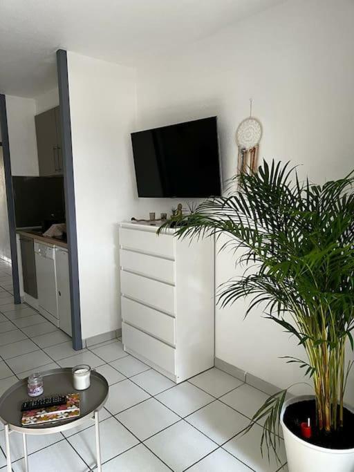 Appartement "Chez Mag Et Jo" Moliets-et-Maa Eksteriør billede